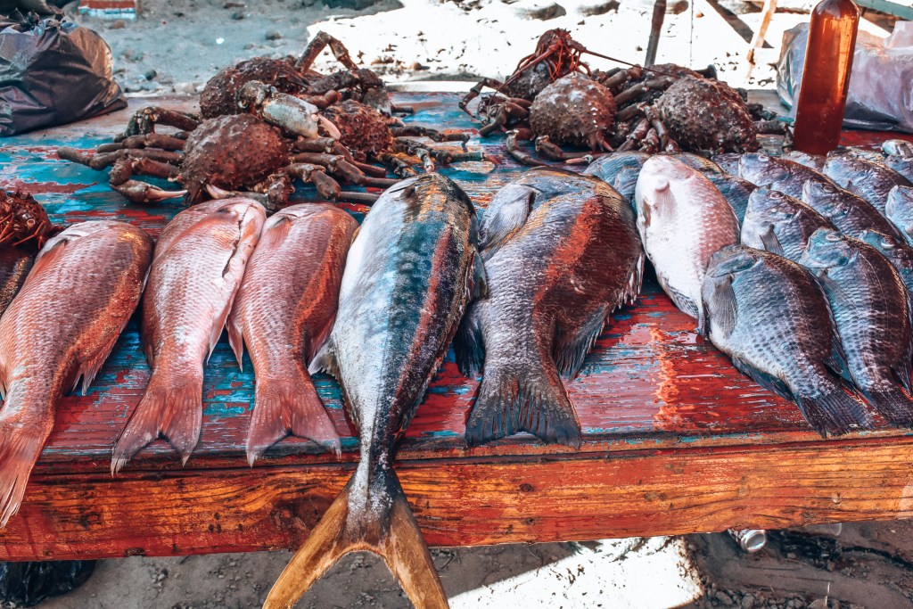 rosarito fish market photos