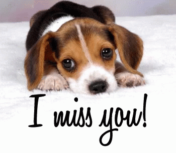 i miss you gif images