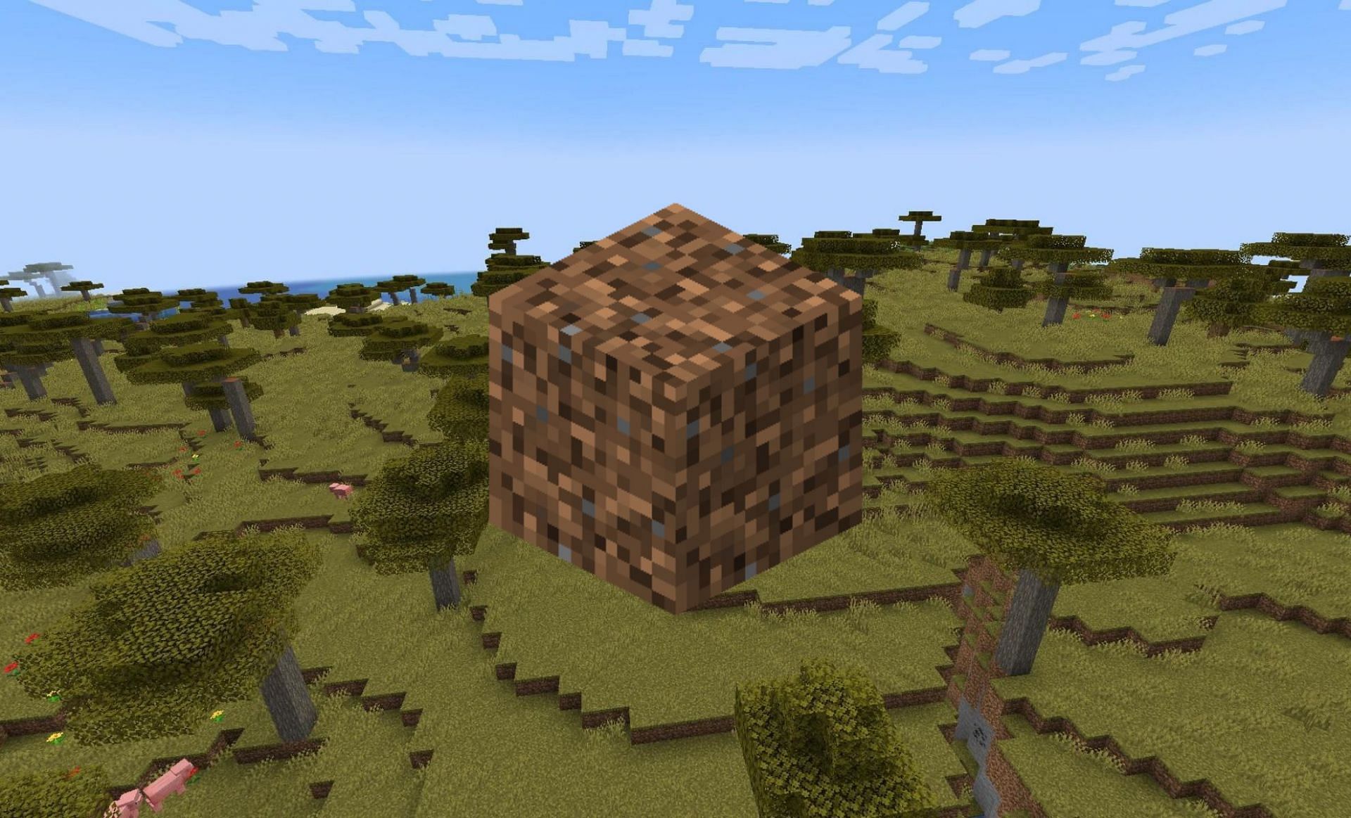 coarse dirt minecraft