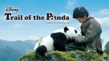 trail of the panda full movie