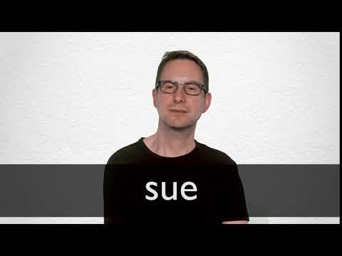 hindi meaning of sue