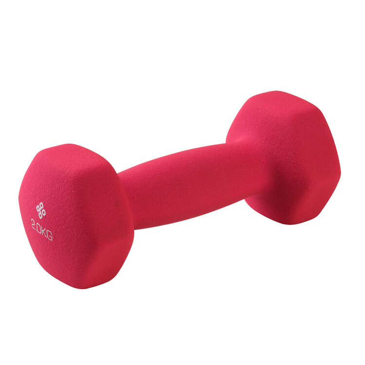 rebel sports dumbell