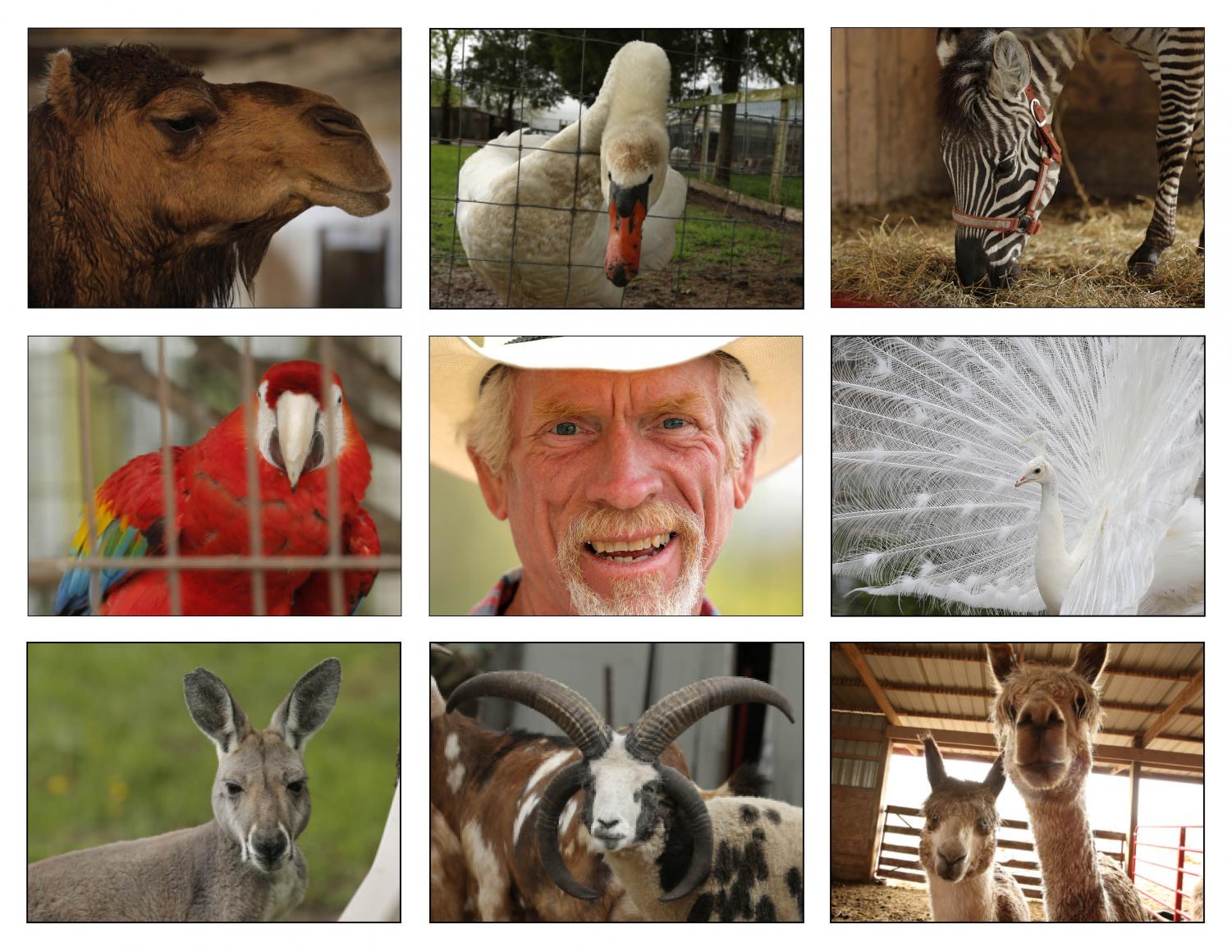 rainbow ranch petting zoo photos