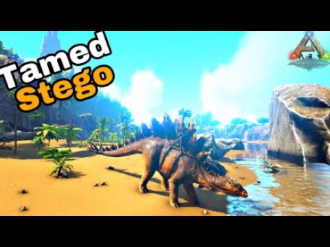 how to tame a stego in ark