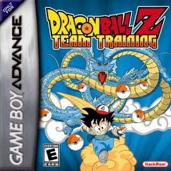 dragon ball z team training