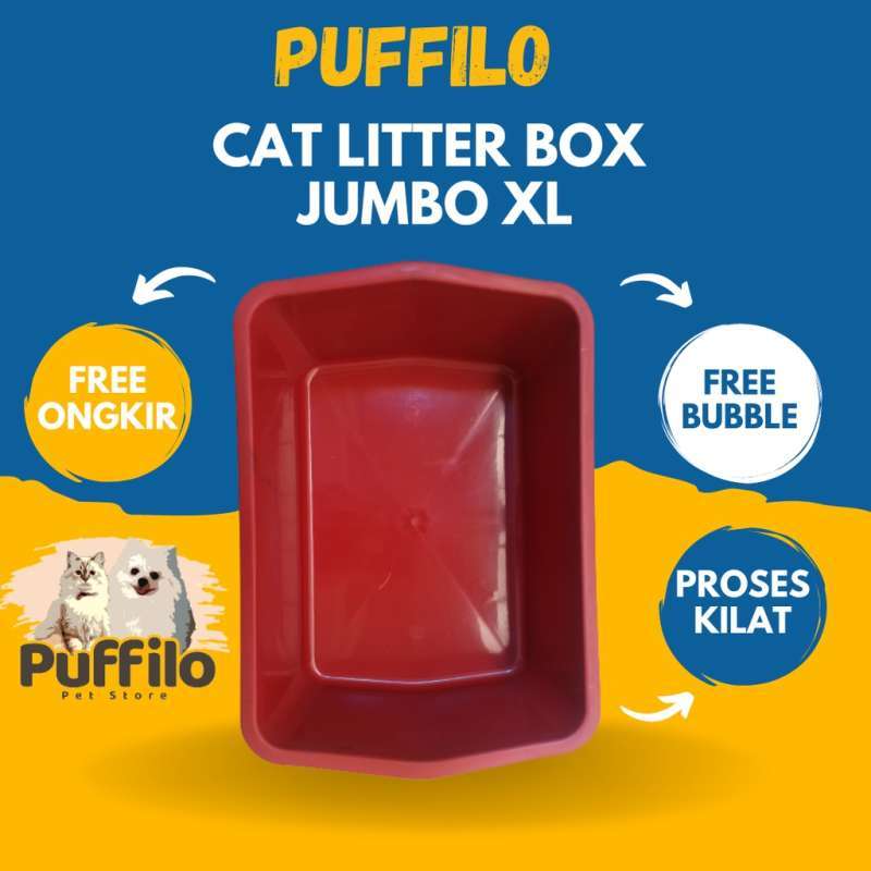 xl cat box