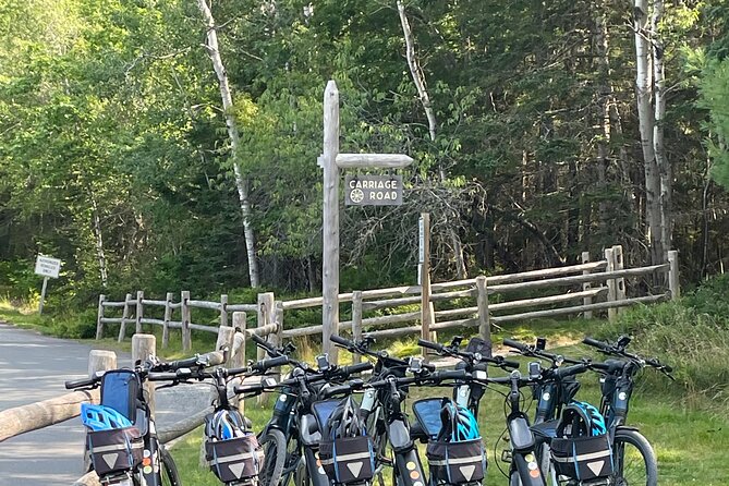 bike rentals in bar harbor maine