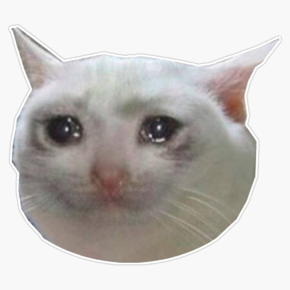 crying cat meme