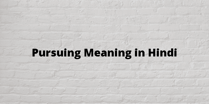 pursuing meaning in hindi