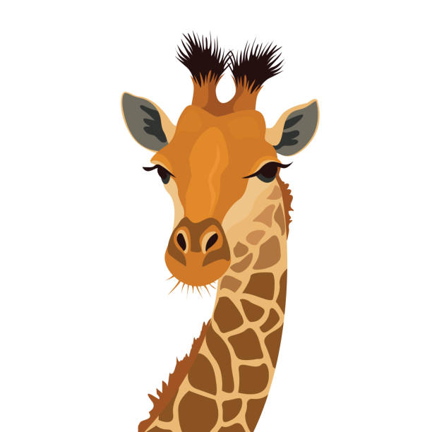 clip art giraffe