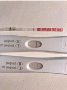 11 dpo