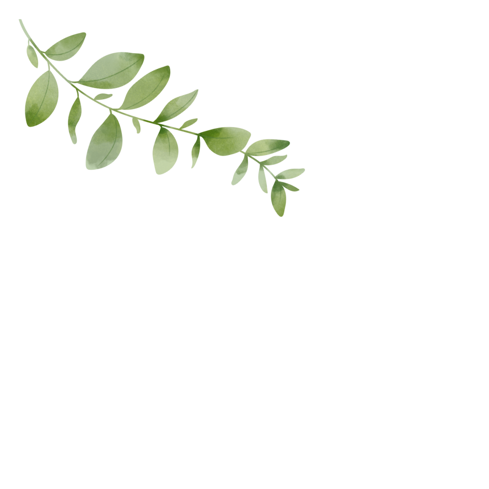 best cremation services near me