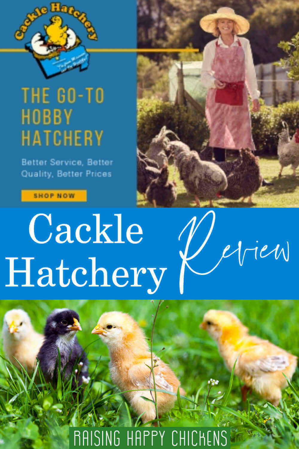 chick hatchery near me