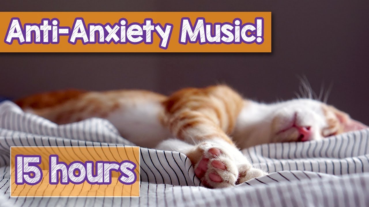 music that relaxes cats