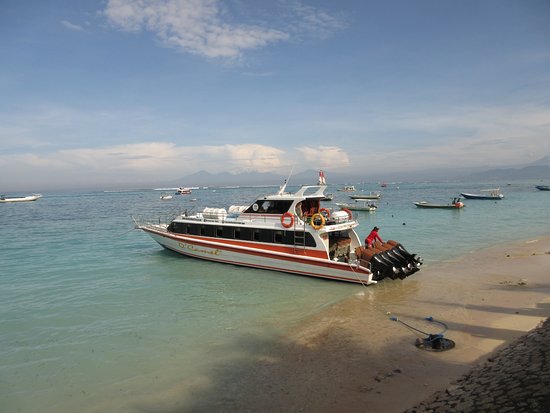 d camel fast ferry