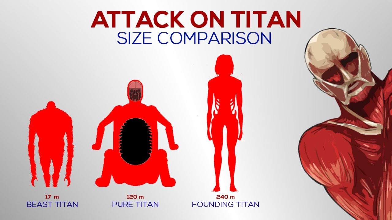 beast titan height