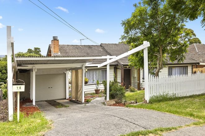 houses for rent ferntree gully