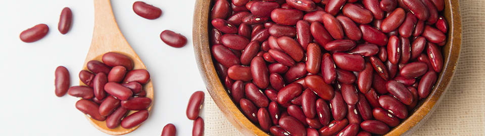 can dogs eat red kidney beans