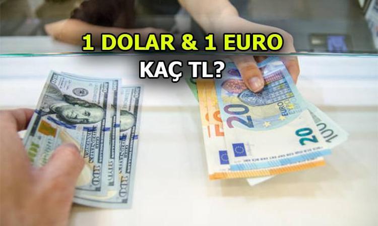 çeviri dolar tl