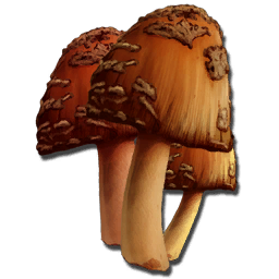 ark rare mushroom