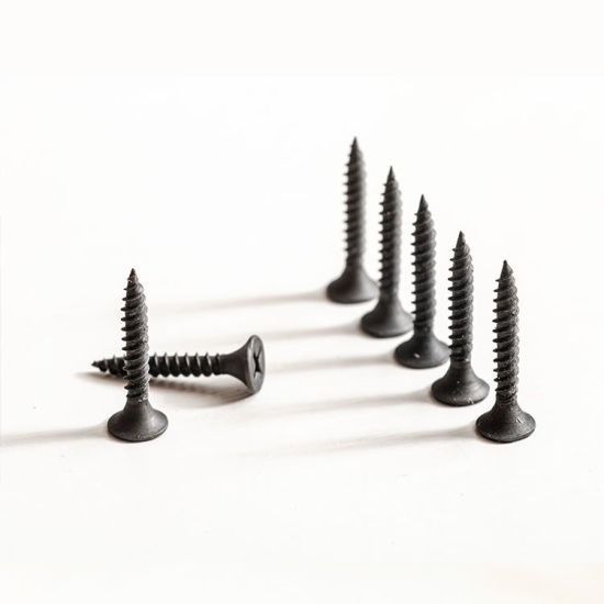 hidden camera screws