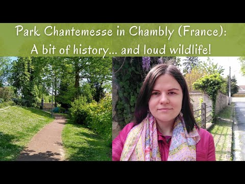 vlog chambly