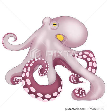 realistic octopus clipart