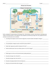 nitrogen cycle close read answers