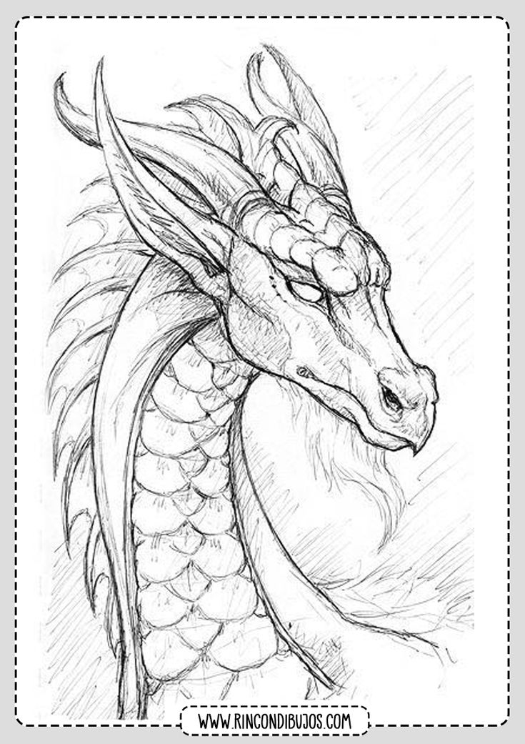 dibujo a lapiz dragon