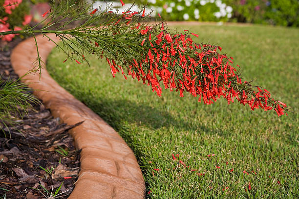 red brick edging garden