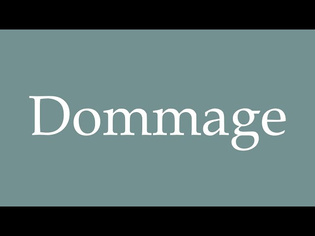 dommage in english