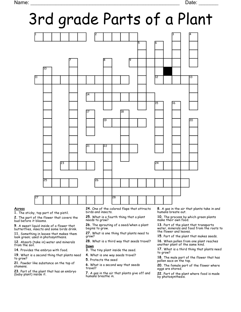 part of a plant crossword clue