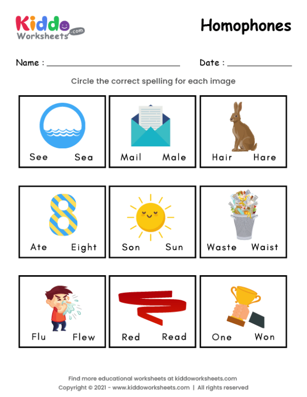 homophones worksheets