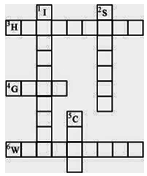 water crops crossword clue