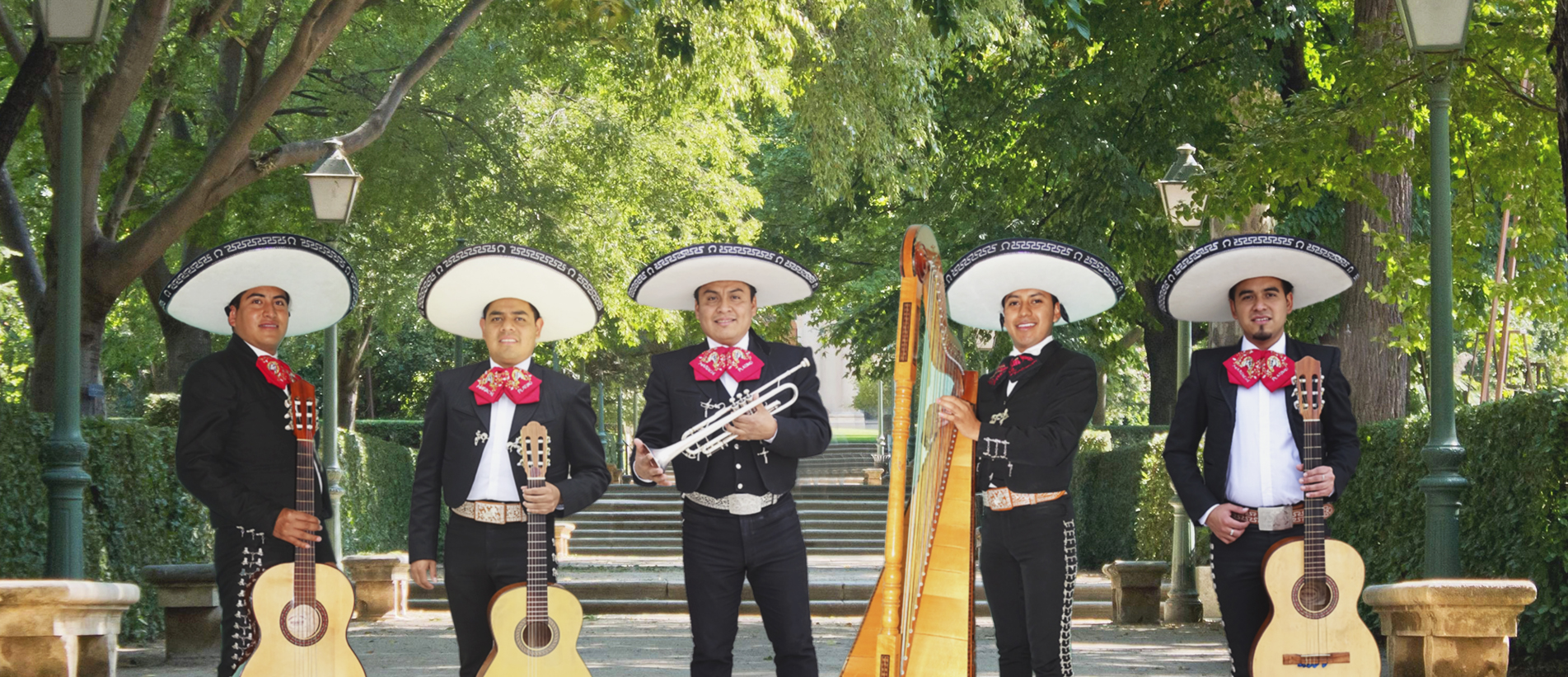 videos de mariachis