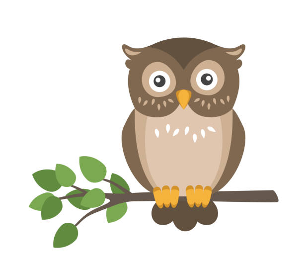 owls clipart