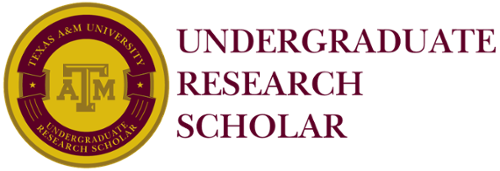 tamu undergraduate research