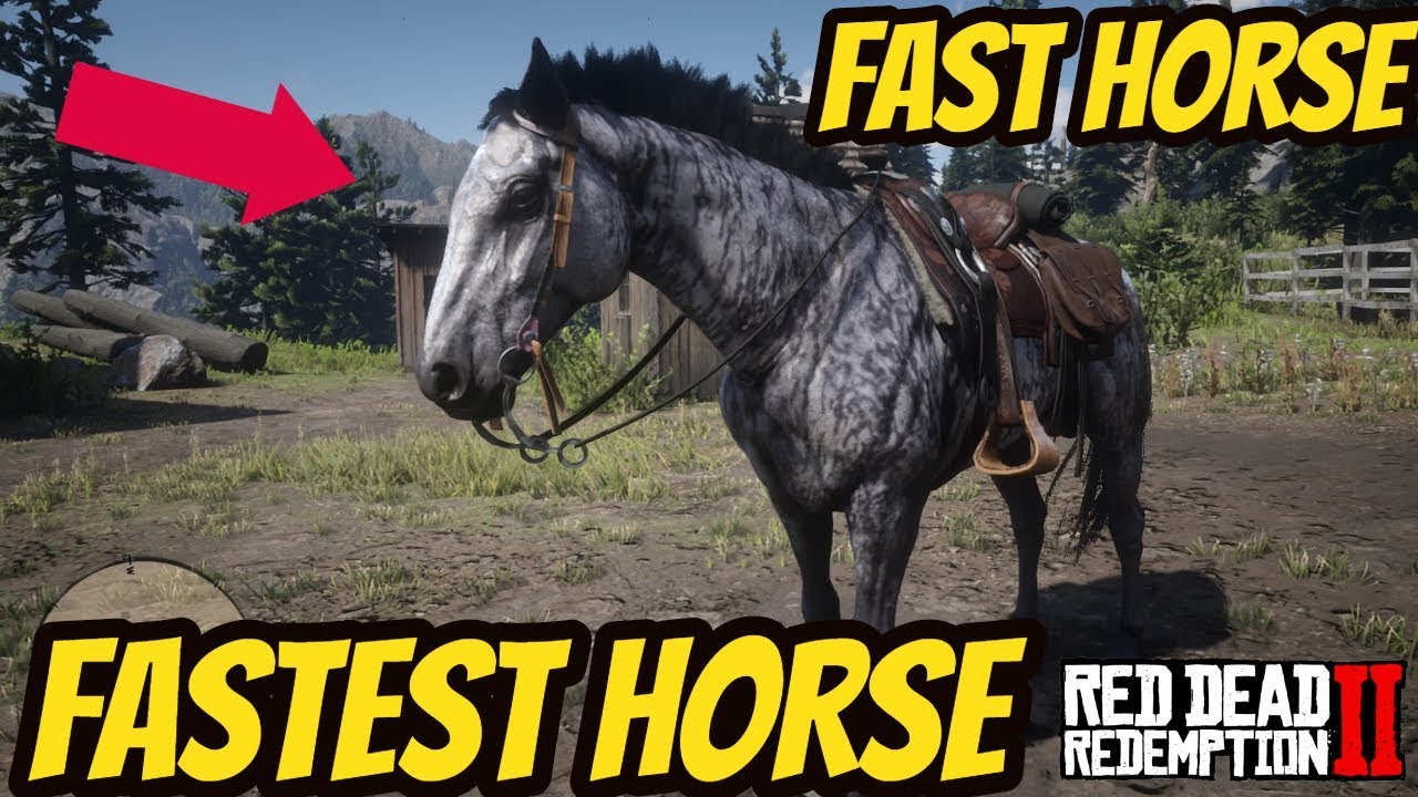 rdr2 fastest horse