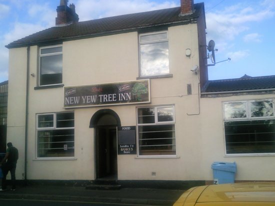 desi yew tree