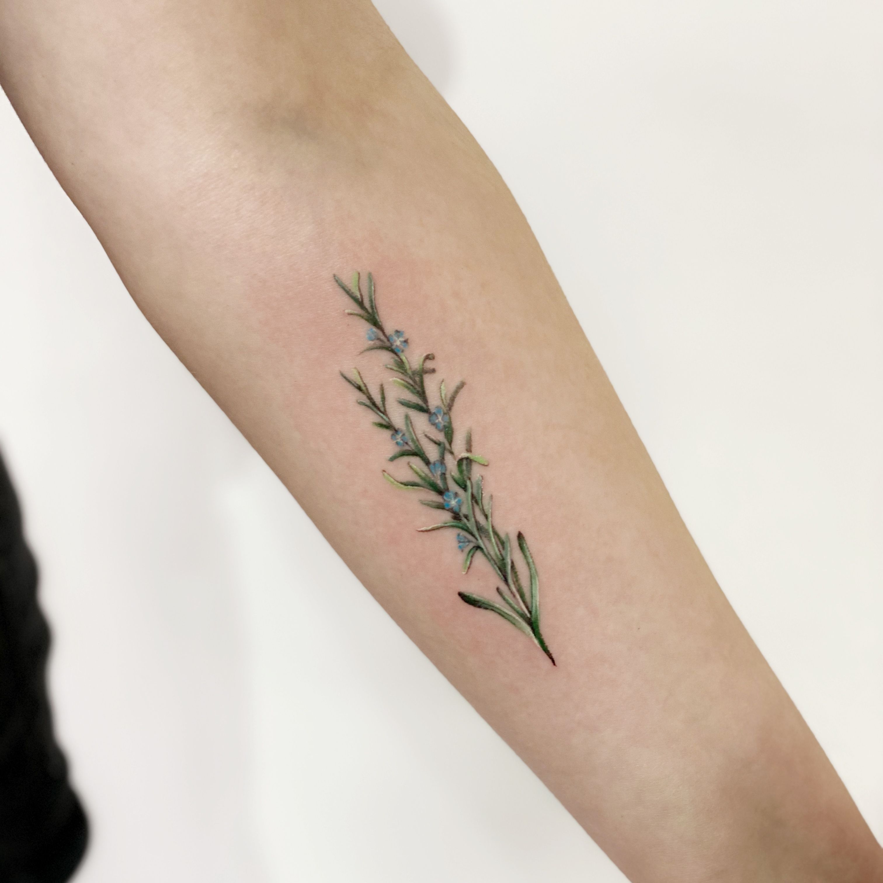 tattoo rosemary