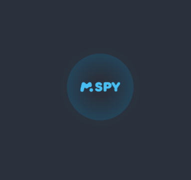 mspy login