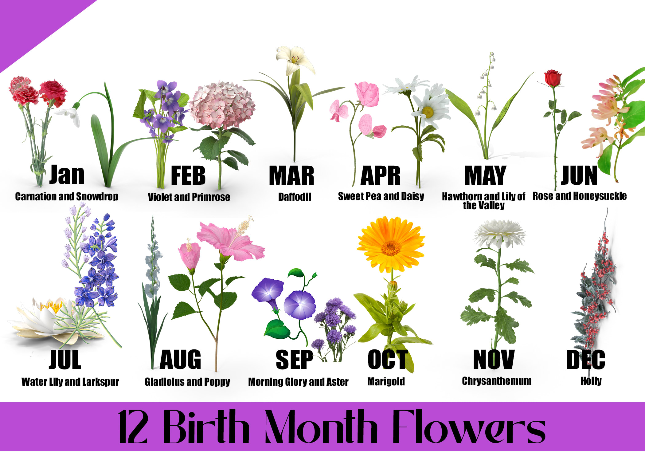 january 5th birth flower