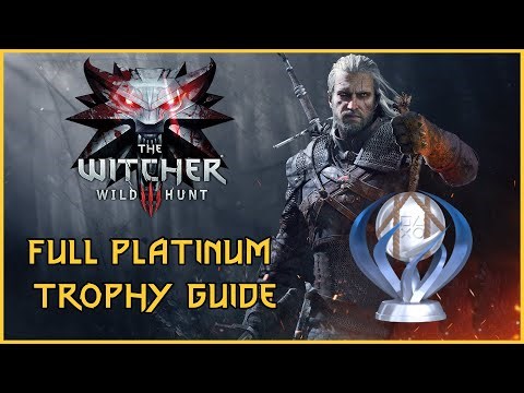 witcher 3 platinum