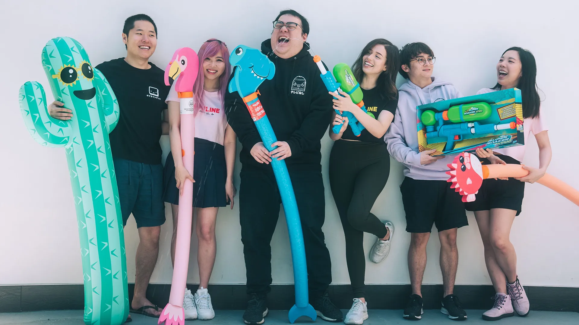 offline tv members