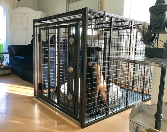 large dog.crate