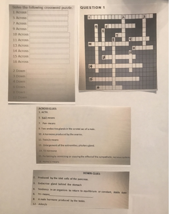 solve the following crossword puzzle