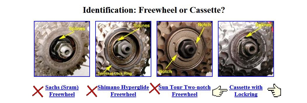 cassette vs freewheel