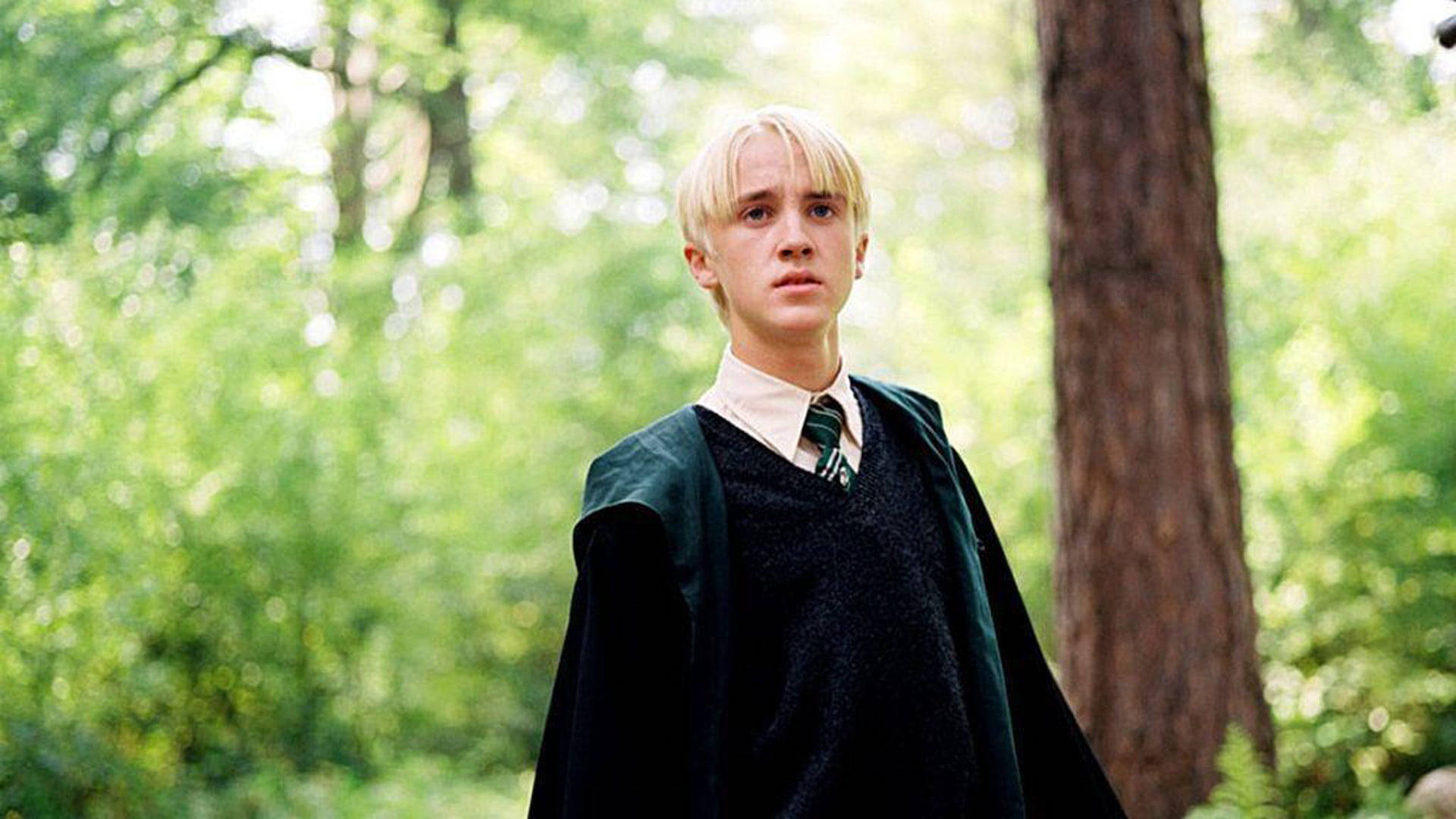 tom felton wallpaper