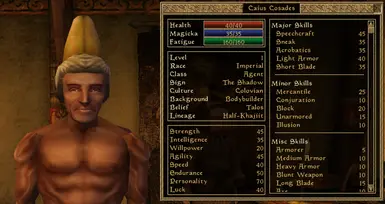 morrowind character builder