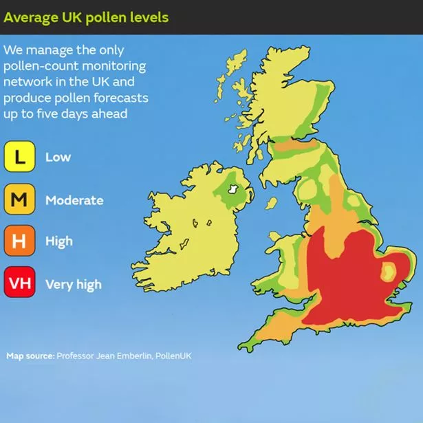 pollen.count london